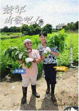 长街十二号剧集索引封面图